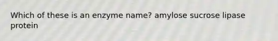 Which of these is an enzyme name? amylose sucrose lipase protein