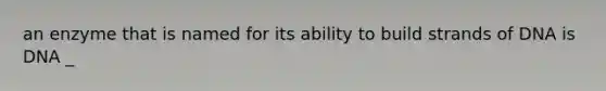 an enzyme that is named for its ability to build strands of DNA is DNA _