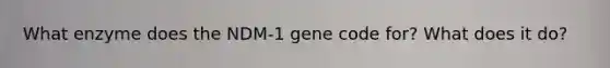 What enzyme does the NDM-1 gene code for? What does it do?