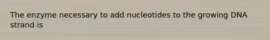 The enzyme necessary to add nucleotides to the growing DNA strand is