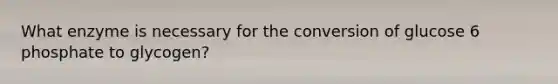 What enzyme is necessary for the conversion of glucose 6 phosphate to glycogen?