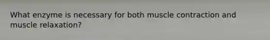 What enzyme is necessary for both muscle contraction and muscle relaxation?