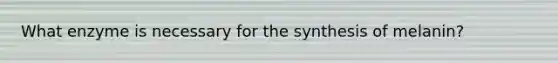 What enzyme is necessary for the synthesis of melanin?