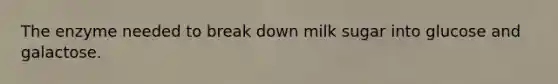 The enzyme needed to break down milk sugar into glucose and galactose.