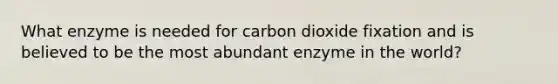 What enzyme is needed for carbon dioxide fixation and is believed to be the most abundant enzyme in the world?