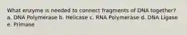 What enzyme is needed to connect fragments of DNA together? a. DNA Polymerase b. Helicase c. RNA Polymerase d. DNA Ligase e. Primase