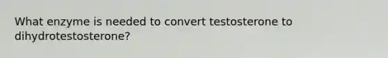 What enzyme is needed to convert testosterone to dihydrotestosterone?