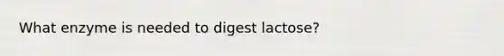 What enzyme is needed to digest lactose?