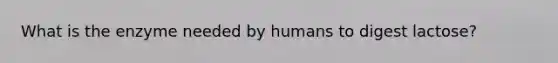 What is the enzyme needed by humans to digest lactose?