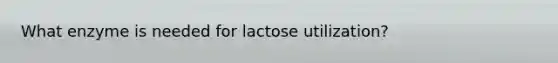 What enzyme is needed for lactose utilization?