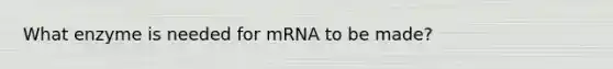 What enzyme is needed for mRNA to be made?