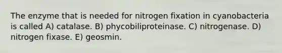 The enzyme that is needed for nitrogen fixation in cyanobacteria is called A) catalase. B) phycobiliproteinase. C) nitrogenase. D) nitrogen fixase. E) geosmin.