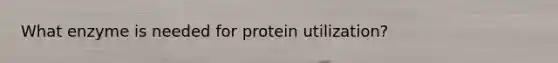 What enzyme is needed for protein utilization?