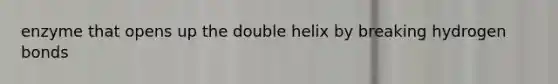 enzyme that opens up the double helix by breaking hydrogen bonds