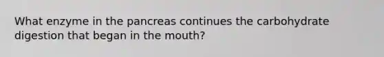 What enzyme in the pancreas continues the carbohydrate digestion that began in the mouth?