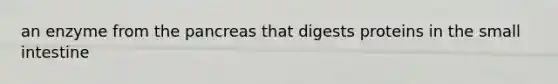 an enzyme from the pancreas that digests proteins in the small intestine