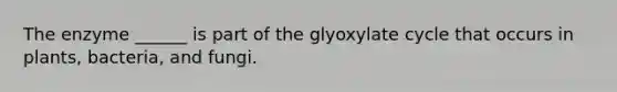 The enzyme ______ is part of the glyoxylate cycle that occurs in plants, bacteria, and fungi.