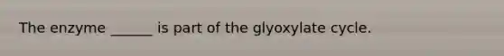 The enzyme ______ is part of the glyoxylate cycle.