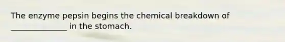 The enzyme pepsin begins the chemical breakdown of ______________ in the stomach.