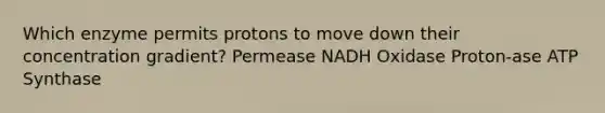 Which enzyme permits protons to move down their concentration gradient? Permease NADH Oxidase Proton-ase ATP Synthase