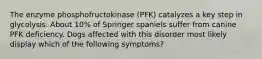 The enzyme phosphofructokinase (PFK) catalyzes a key step in glycolysis. About 10% of Springer spaniels suffer from canine PFK deficiency. Dogs affected with this disorder most likely display which of the following symptoms?