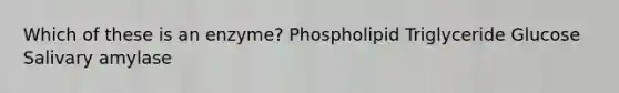 Which of these is an enzyme? Phospholipid Triglyceride Glucose Salivary amylase