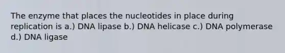 The enzyme that places the nucleotides in place during replication is a.) DNA lipase b.) DNA helicase c.) DNA polymerase d.) DNA ligase