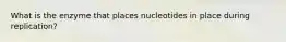 What is the enzyme that places nucleotides in place during replication?