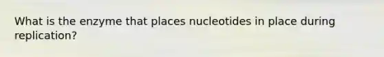 What is the enzyme that places nucleotides in place during replication?