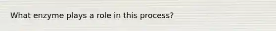 What enzyme plays a role in this process?