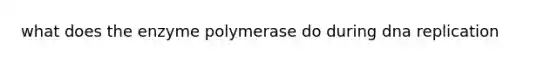 what does the enzyme polymerase do during dna replication