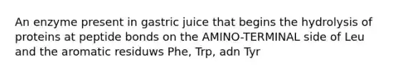 An enzyme present in gastric juice that begins the hydrolysis of proteins at peptide bonds on the AMINO-TERMINAL side of Leu and the aromatic residuws Phe, Trp, adn Tyr