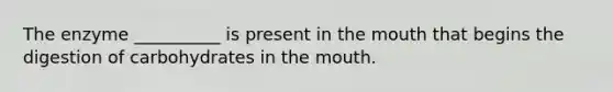 The enzyme __________ is present in the mouth that begins the digestion of carbohydrates in the mouth.