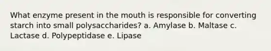 What enzyme present in the mouth is responsible for converting starch into small polysaccharides? a. Amylase b. Maltase c. Lactase d. Polypeptidase e. Lipase