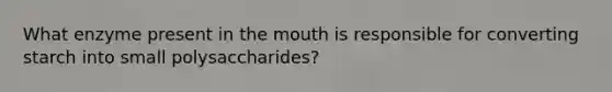 What enzyme present in the mouth is responsible for converting starch into small polysaccharides?​