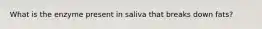 What is the enzyme present in saliva that breaks down fats?