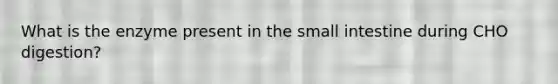 What is the enzyme present in <a href='https://www.questionai.com/knowledge/kt623fh5xn-the-small-intestine' class='anchor-knowledge'>the small intestine</a> during CHO digestion?