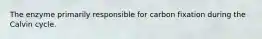The enzyme primarily responsible for carbon fixation during the Calvin cycle.