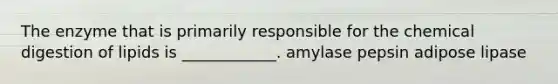 The enzyme that is primarily responsible for the chemical digestion of lipids is ____________. amylase pepsin adipose lipase