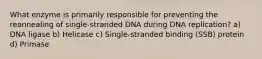 What enzyme is primarily responsible for preventing the reannealing of single-stranded DNA during DNA replication? a) DNA ligase b) Helicase c) Single-stranded binding (SSB) protein d) Primase