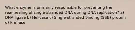 What enzyme is primarily responsible for preventing the reannealing of single-stranded DNA during <a href='https://www.questionai.com/knowledge/kofV2VQU2J-dna-replication' class='anchor-knowledge'>dna replication</a>? a) DNA ligase b) Helicase c) Single-stranded binding (SSB) protein d) Primase