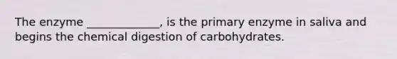 The enzyme _____________, is the primary enzyme in saliva and begins the chemical digestion of carbohydrates.