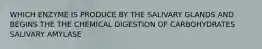 WHICH ENZYME IS PRODUCE BY THE SALIVARY GLANDS AND BEGINS THE THE CHEMICAL DIGESTION OF CARBOHYDRATES SALIVARY AMYLASE