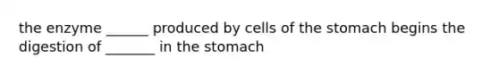 the enzyme ______ produced by cells of the stomach begins the digestion of _______ in the stomach