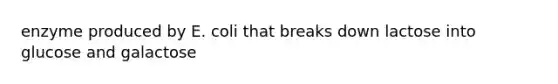 enzyme produced by E. coli that breaks down lactose into glucose and galactose