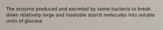 The enzyme produced and excreted by some bacteria to break down relatively large and insoluble starch molecules into soluble units of glucose