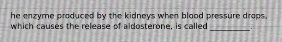 he enzyme produced by the kidneys when <a href='https://www.questionai.com/knowledge/kD0HacyPBr-blood-pressure' class='anchor-knowledge'>blood pressure</a> drops, which causes the release of aldosterone, is called __________.