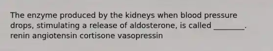 The enzyme produced by the kidneys when blood pressure drops, stimulating a release of aldosterone, is called ________. renin angiotensin cortisone vasopressin