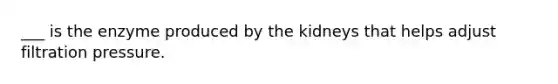 ___ is the enzyme produced by the kidneys that helps adjust filtration pressure.