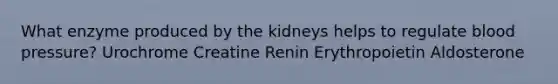 What enzyme produced by the kidneys helps to regulate <a href='https://www.questionai.com/knowledge/kD0HacyPBr-blood-pressure' class='anchor-knowledge'>blood pressure</a>? Urochrome Creatine Renin Erythropoietin Aldosterone